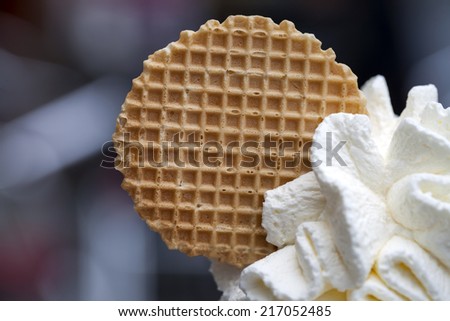Cookie on Ice Cream