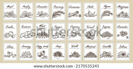 Vector set of stickers for spices.  basil, parsley, coriander, rosemary, cinnamon, chili, pepper, thyme, turmeric, black pepper, ginger, oregano, cumin, poppy, anise, garlic, dill, mustard, saffron Royalty-Free Stock Photo #2170535245
