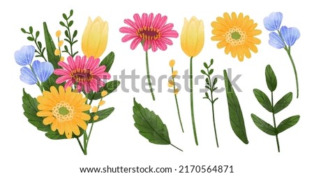 Large Botanical set of wild flowers. Set of Separate parts and bring together to beautiful bouquet of flowers in water colors style on background, Nature floral vector illustration