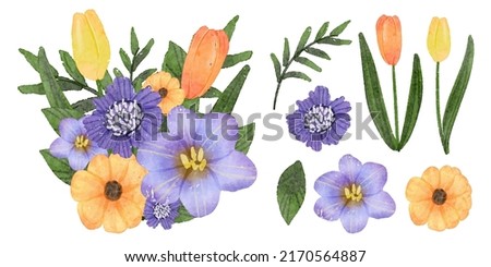 Large Botanical set of wild flowers. Set of Separate parts and bring together to beautiful bouquet of flowers in water colors style on background, Nature floral vector illustration