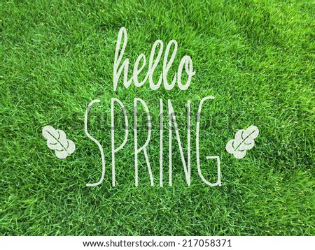 hello spring/spring/grass Royalty-Free Stock Photo #217058371