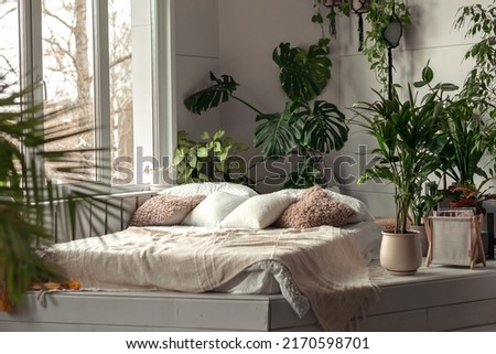 Cozy bright bedroom with indoor plants.Home interior design.Biophilia design,urban jungle concept. Royalty-Free Stock Photo #2170598701