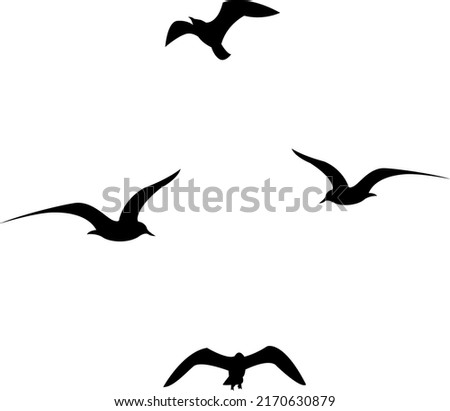 Set of black flying seagull silhouettes on white background. Royalty-Free Stock Photo #2170630879