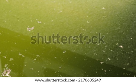 Esthetic green dirty water, lake and pond water, dirty lake, design with abstract art. grunge painting, Dull color. Abstract art for poster, art industry and book