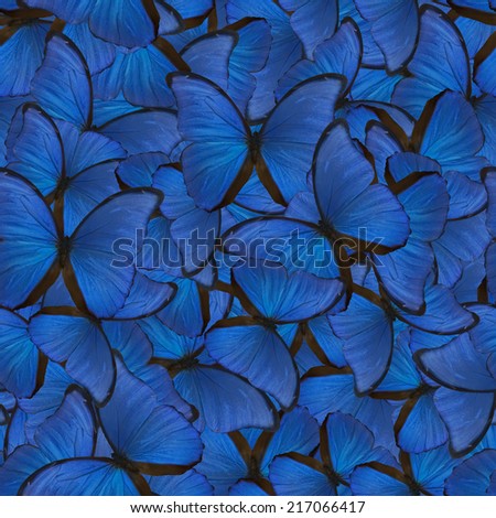 seamless background from blue morpho butterflies