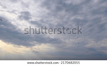 7680x4320 Pixel. Sunrise sky background with tiny clouds. 