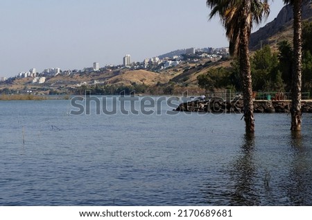 The wild coast of the Kineret lake, Israel
