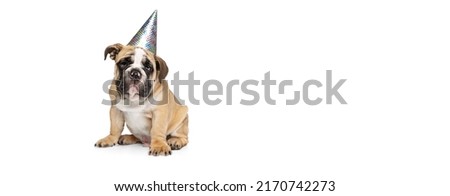 Brown color bulldog posing isolated on white studio background. Concept of animal, breed, vet, health and care. Copy spce for ad, text, design. Pet looks happy, funny, delighted