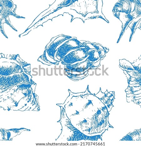 Hand drawn seamless pattern with realistic various seashells. Monochrome blue sketch vector illustration. Ocean nature in vinage style. Perfect for textiles, wallpaper and prints.