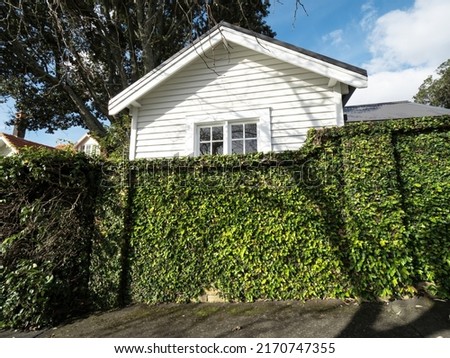 White wooden cottage behind green hedge