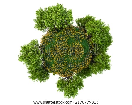 Globe trees on planet . Green Earth trees and flowers, isolated on white background. High resolution, realistic. 3D rendering.
