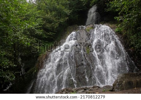 Mountain waterfall flows over the rocks. View of the mountain cascade of a waterfall with clear water.