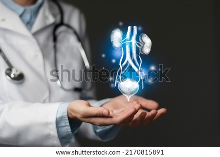  renal system issues medical concept. Photo of female doctor, empty space.  Royalty-Free Stock Photo #2170815891