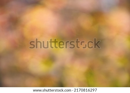 Abstract blurred background in autumn shades and colors. Autumn blurred background. Defocus colorful leaves abstract backdrop with sun flares. Orange, red and yellow colors. Bokeh