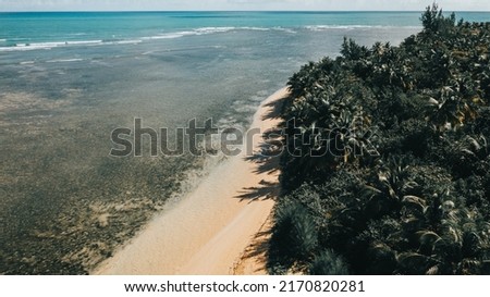 Aerial photo of remote beach in Puerto Rico in the Caribbean on a summer day