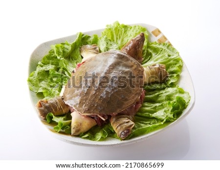 Delicious Chinese food, raw native soft-shelled turtle
