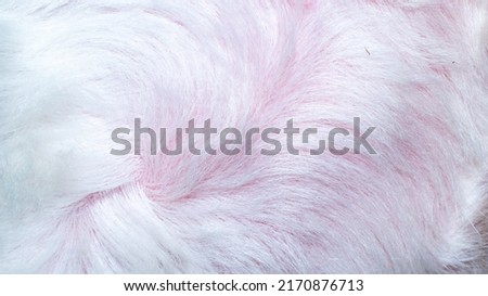 white fur texture close-up beautiful abstract feather background