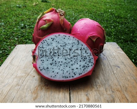 Blurred background of dragon fruit ,among green leaves and other blur background ,macro