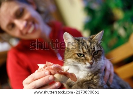 Domestic Cat not Appreciating Owner Giving it Prosciutto
