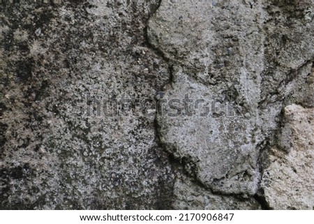 Concrete Wall Texture Background. Wall background