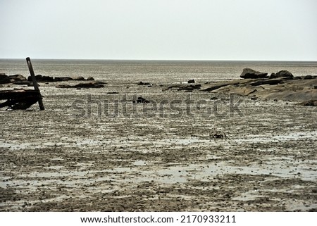 These are tidal flat scenery around Seondu-ri Port connected to Dongmak Beach in Ganghwado Island. Everything that reflects on a cloudy afternoon is rather abstract.