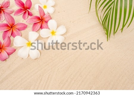 Frangipani Flowers And Palm Leaf On Sand For Summer Background.