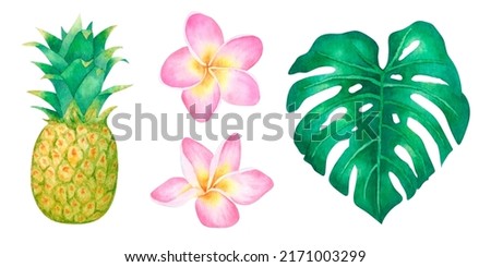 Watercolor tropical exotic pineapple frangipani monstera isolated on white background
