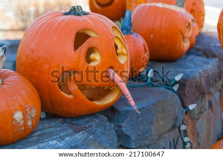 Picture of Halloween pumpkins.