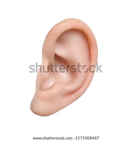 Human ear isolated on white. Organ of hearing and balance Royalty-Free Stock Photo #2171008487