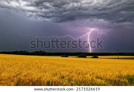 Lightning in the stormy sky over the field. Lightning strike in stormy sky.  Lightningstrikes in dark sky. Thundestorm with lightning stikes Royalty-Free Stock Photo #2171026619