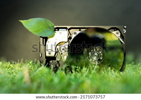 View on a hard disk drive with a chia leaf representing cryptocurrencies on the grass on a sunny day.