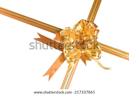 gift ribbon decoration isolated on white background