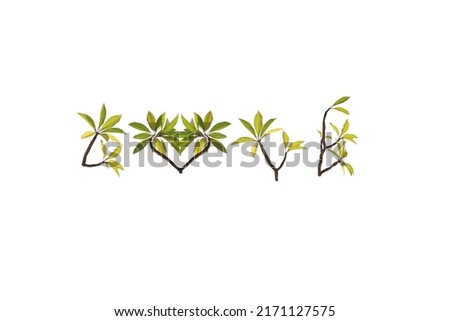 Isolated image of tree branches converted to letters on a white background.
