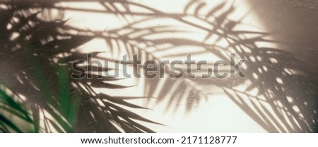 The shadow of the branches of a palm tree on the gray concrete. Banner. Selective focus.