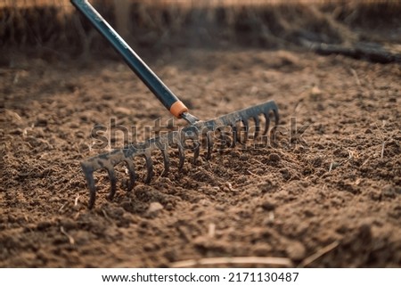 Loosening the soil with a rake in the greenhouse. Close up of an new metal garden rake cleaning earth at spring time Royalty-Free Stock Photo #2171130487