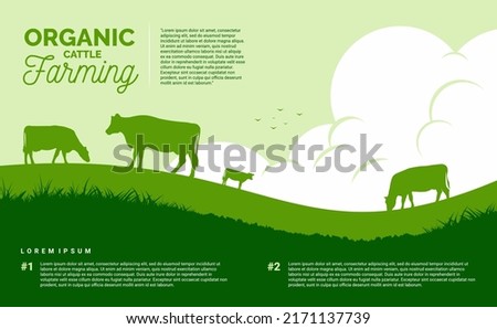 organic cattle farming vector flat background agriculture landscape. vector illustration