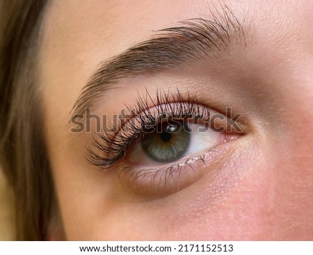 The procedure of classical eyelash extension. Beautiful female eyes close-up with long eyelashes Royalty-Free Stock Photo #2171152513