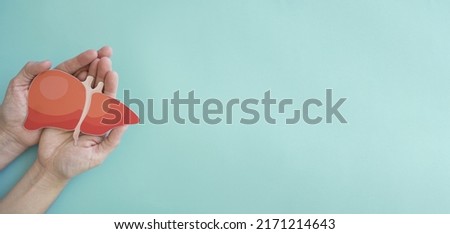 Hands holding healthy liver, organ donation, hepatitis vaccination, liver cancer treatment, world hepatitis day Royalty-Free Stock Photo #2171214643