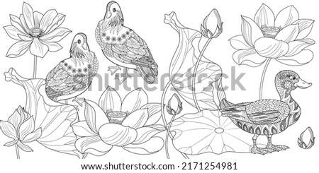 Art therapy coloring page. Coloring book antistress for children and adults. Birds and flowers hand drawn in vintage style. The art of linear engraving. 