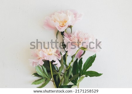Beautiful peonies  flat lay on rustic white wood. Stylish floral greeting card with space for text. Gentle pastel pink peony flowers arrangement on white table, moody banner