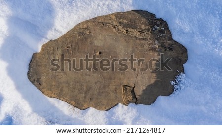 Ancient rock art. Primitive carvings of hunting scenes - people, animals - are visible on the flat stone. Snow all around. Altai. Kalbak Tash.