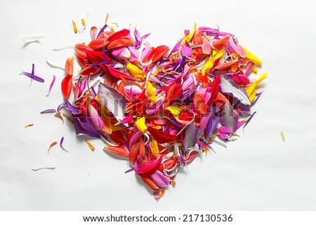 flying red petals, flowers lightness concept
