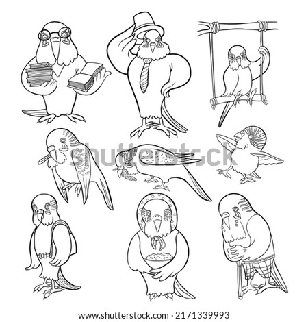 Set of wavy parrot different images. vector illustration