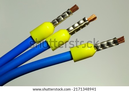 Blue wires with yellow ferrules - macro photo. Background picture. Selective focus. Royalty-Free Stock Photo #2171348941