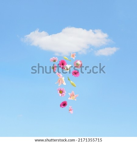 Colorful summer flowers flying from the white fluffy cloud. Blu sky  background. Surreal aesthetic outdoor nature concept. Sunny rain idea.