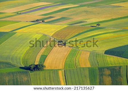Aerial view of agricultural fields Royalty-Free Stock Photo #217135627