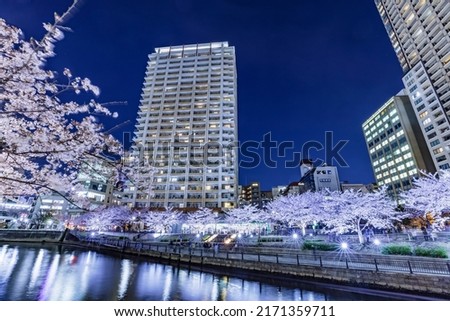 Buildings along the Meguro River with beautiful cherry blossoms at night in full bloom