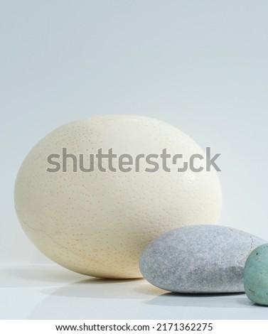 light gray zen stone and milky white ostrich egg oval shape on a white background stand base podium for background