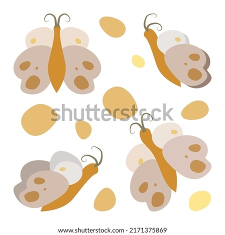 Cute orange butterfly vector illustration isolated on white background