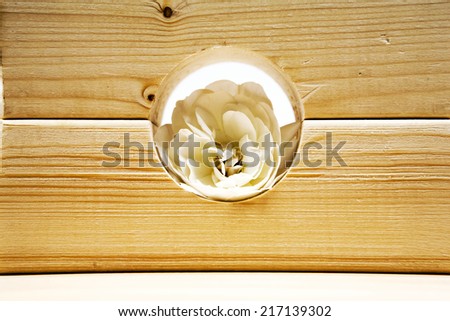 Wooden geometrical pieces with white roses and light grey background 